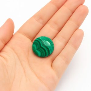 Ombliguera Malaquita | Transformación y Protección